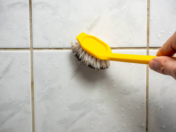 Best Health and Safety Mold Remediation in Emah, OK