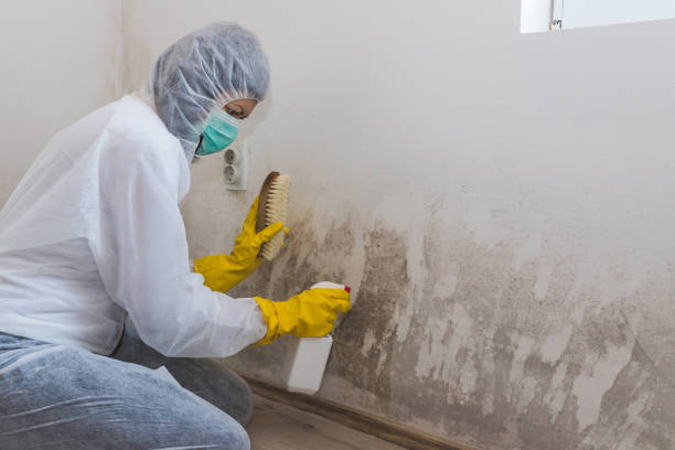 Best Crawl Space Mold Remediation in Emah, OK