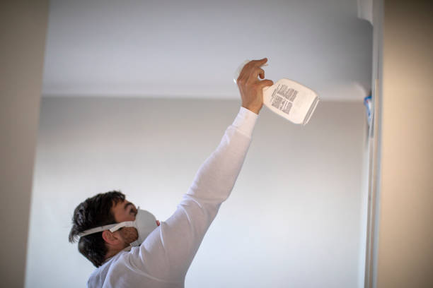 Best Residential Mold Remediation in Emah, OK