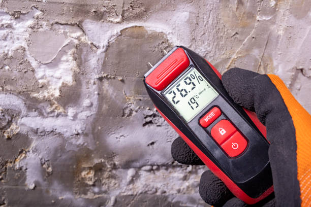 Best Insurance-Related Mold Remediation in Emah, OK