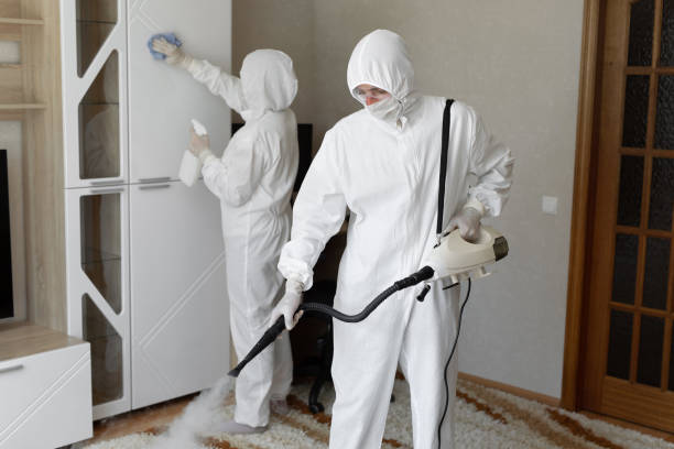 Best Mold Remediation for Specific Building Types in Emah, OK