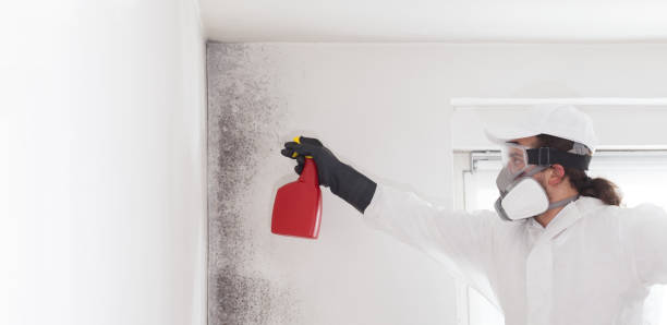 Best Mold Remediation for Schools in Emah, OK