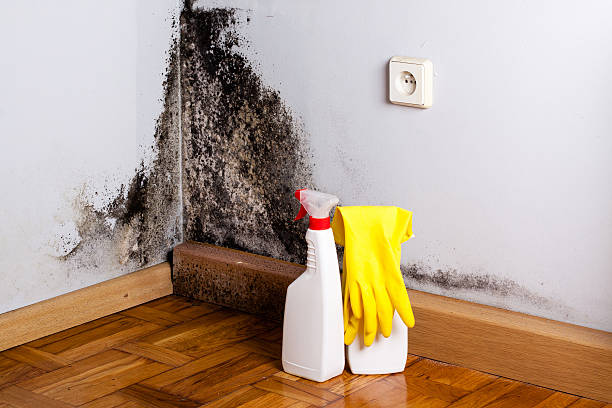 Best Mold Remediation for Schools in Emah, OK